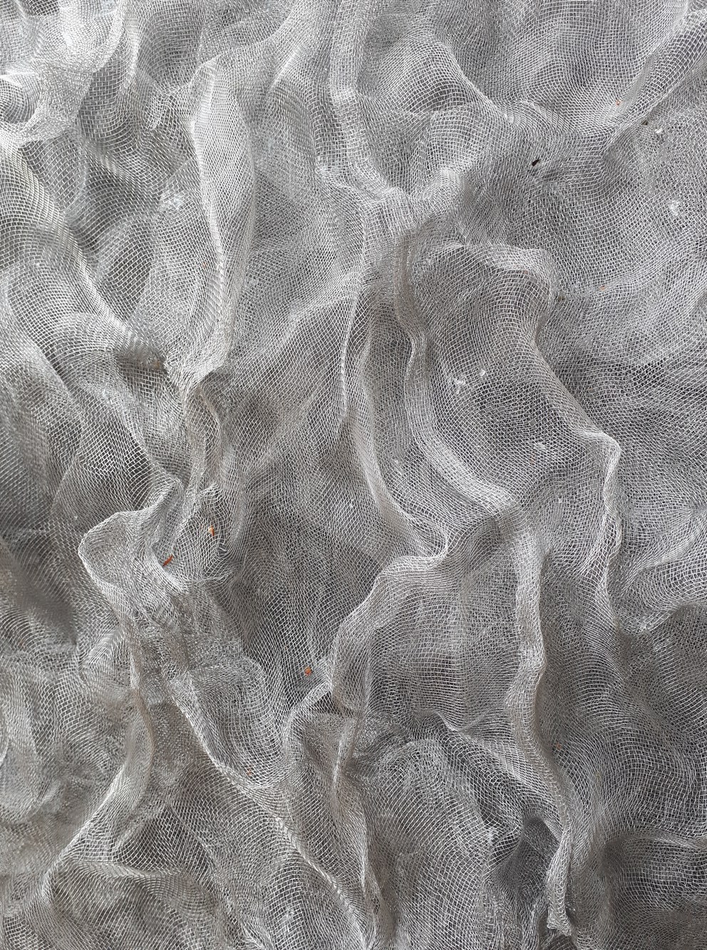 Nadia Bertaux, Tumbleweed 2 r